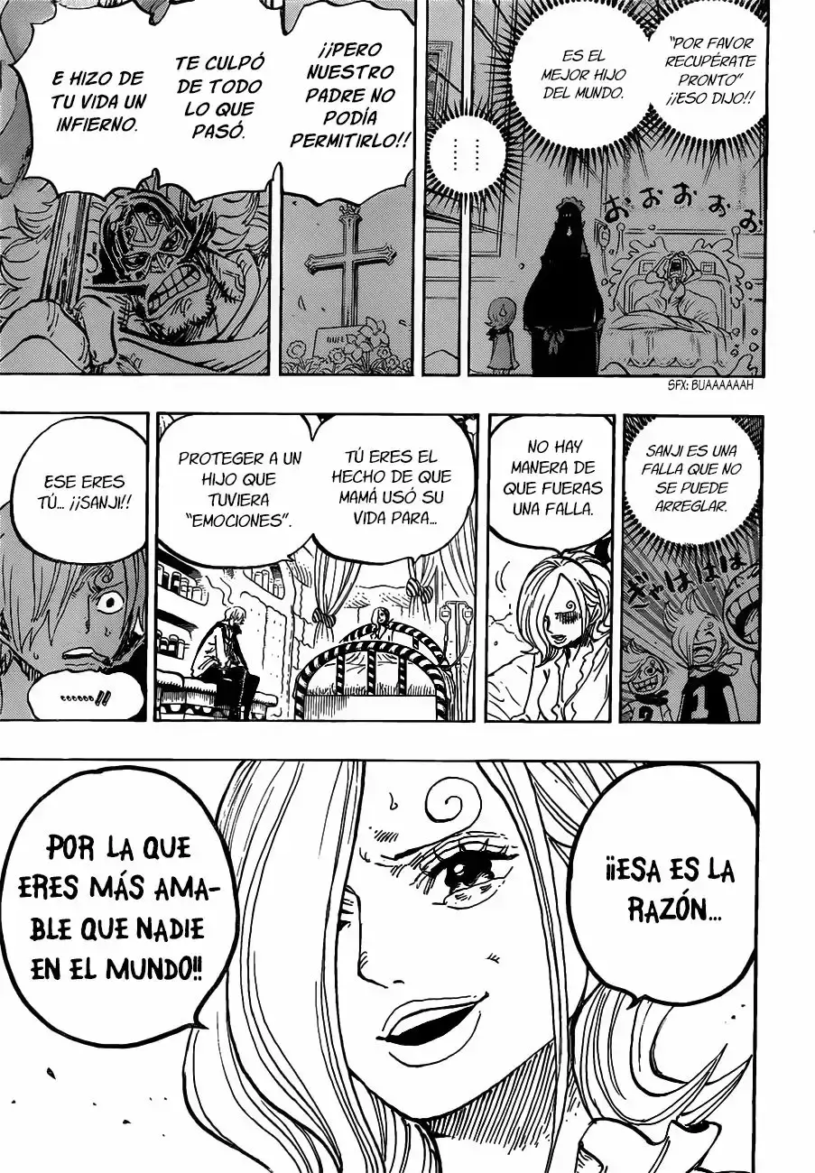 One Piece Capítulo 852 - Página 14 en español