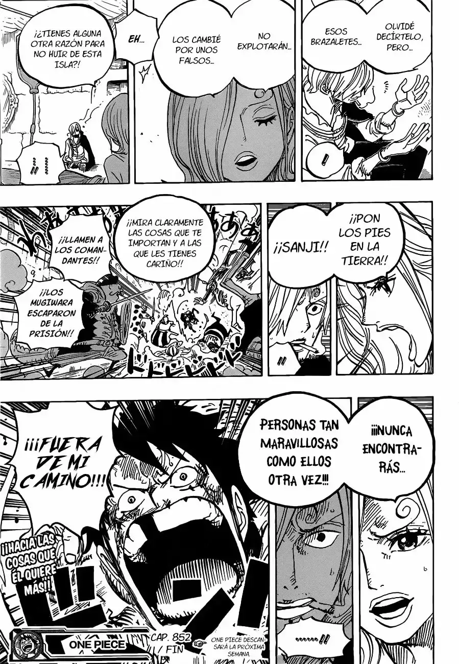 One Piece Capítulo 852 - Página 18 en español