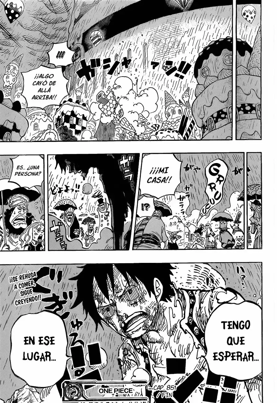One Piece Capítulo 853 - Página 16 en español