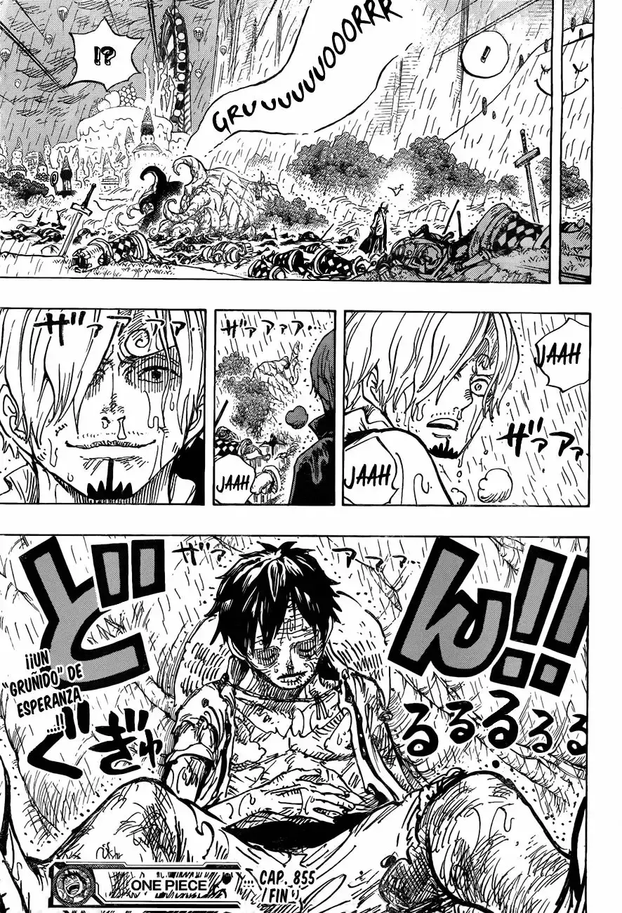 One Piece Capítulo 855 - Página 17 en español