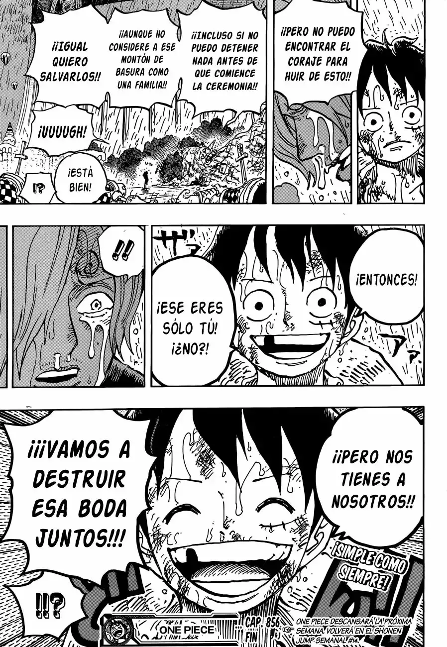 One Piece Capítulo 856 - Página 18 en español