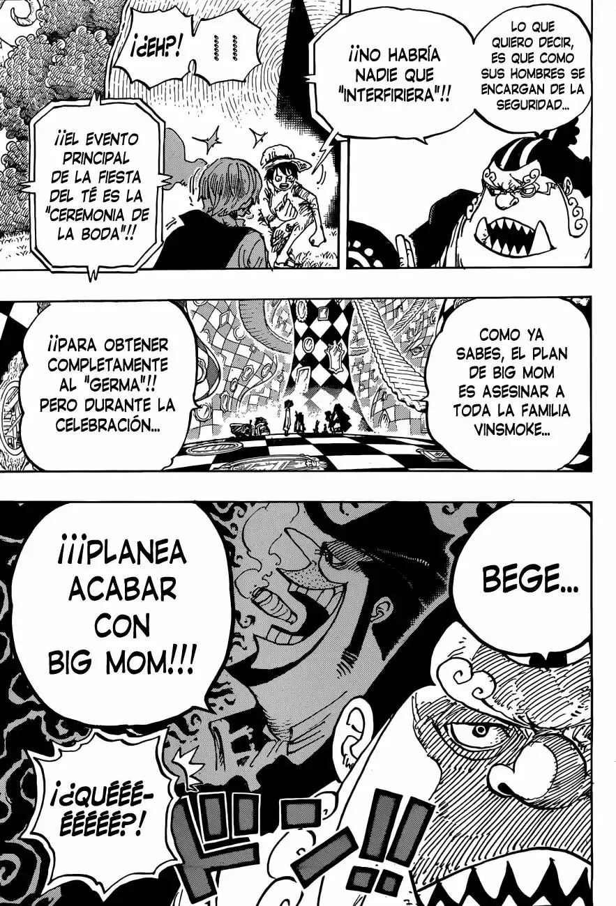One Piece Capítulo 857 - Página 14 en español