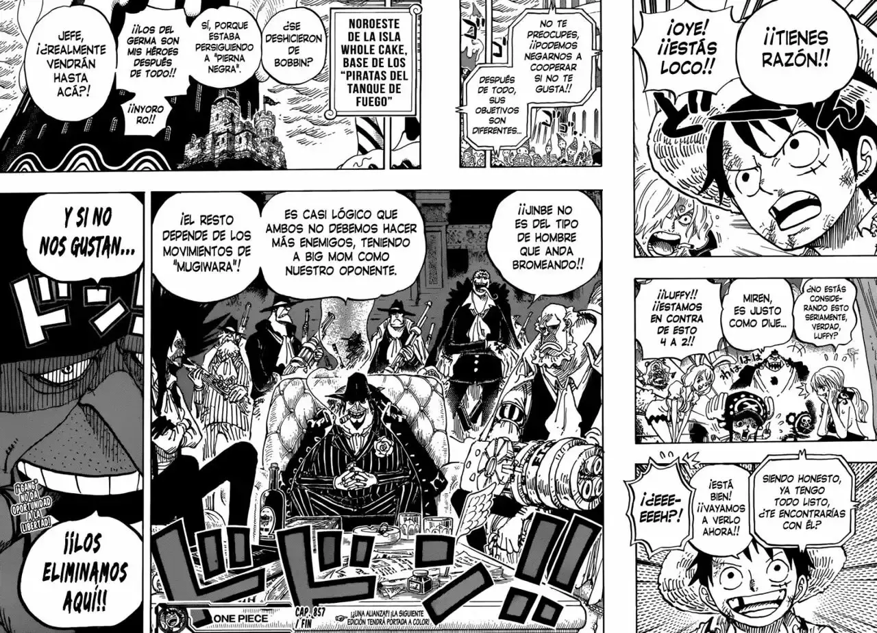One Piece Capítulo 857 - Página 17 en español