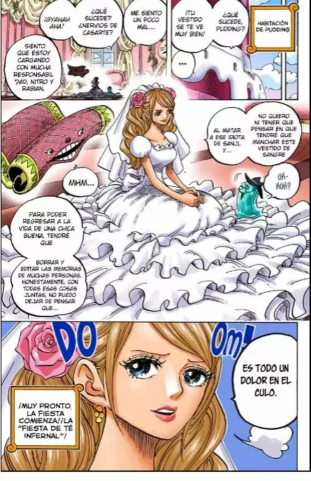One Piece Capítulo 859 - Página 16 en español
