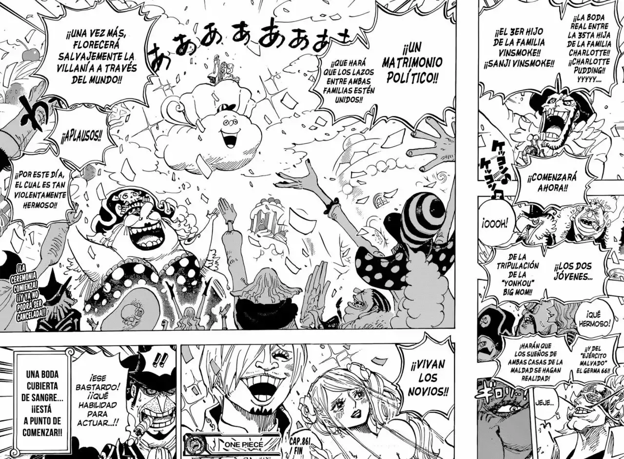 One Piece Capítulo 861 - Página 16 en español