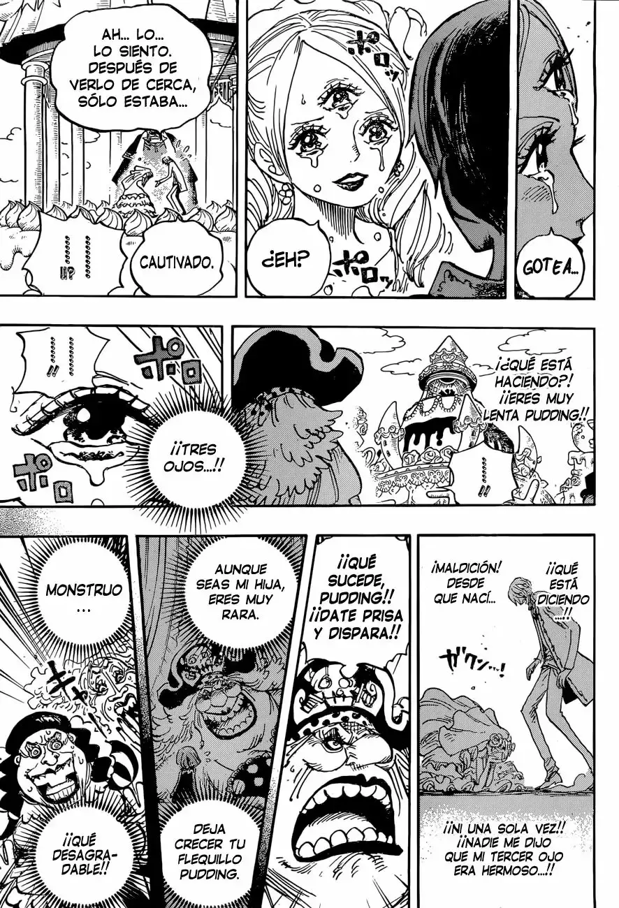 One Piece Capítulo 862 - Página 11 en español