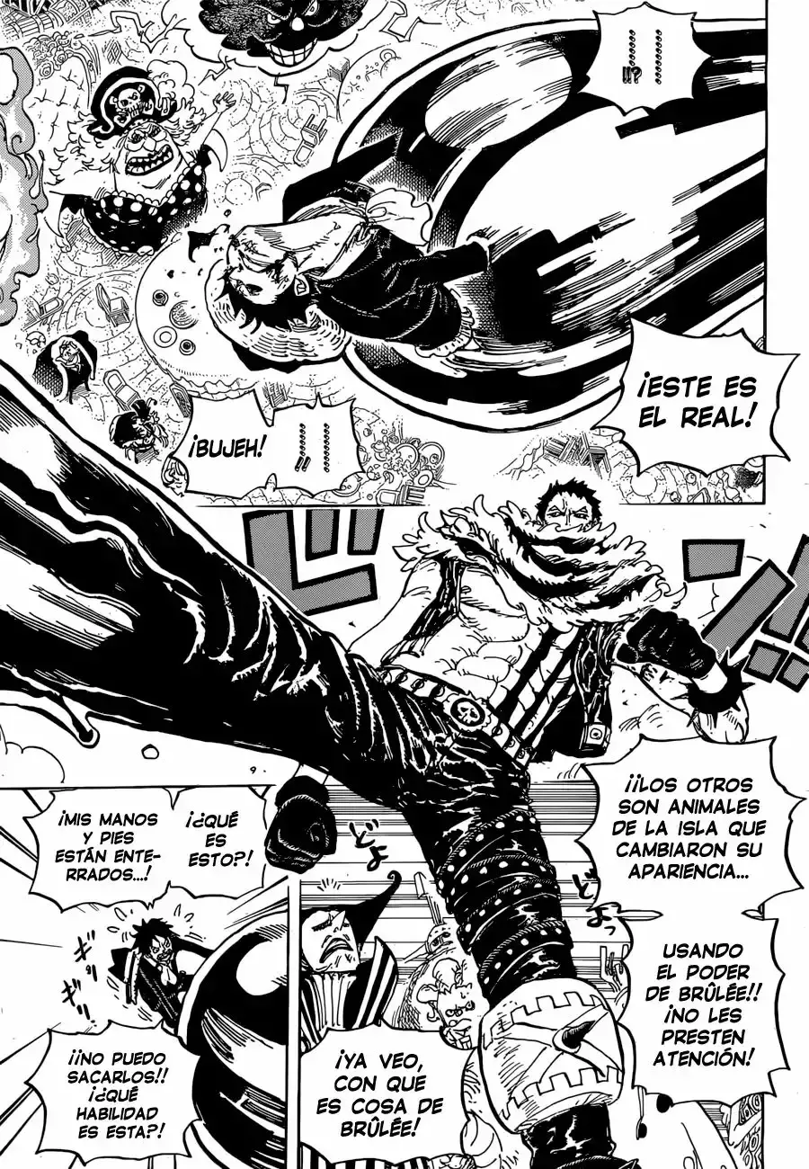 One Piece Capítulo 863 - Página 15 en español