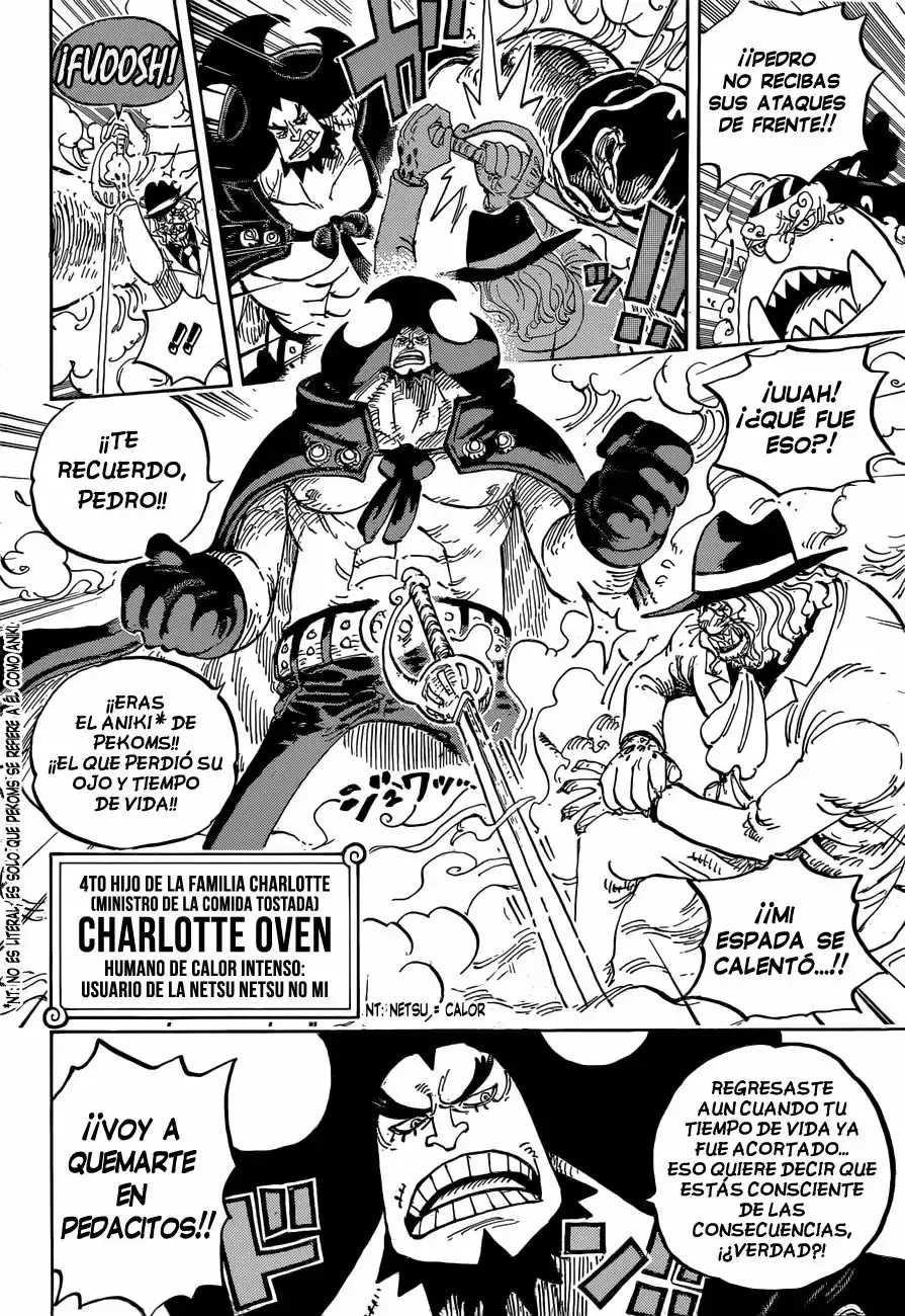 One Piece Capítulo 864 - Página 11 en español