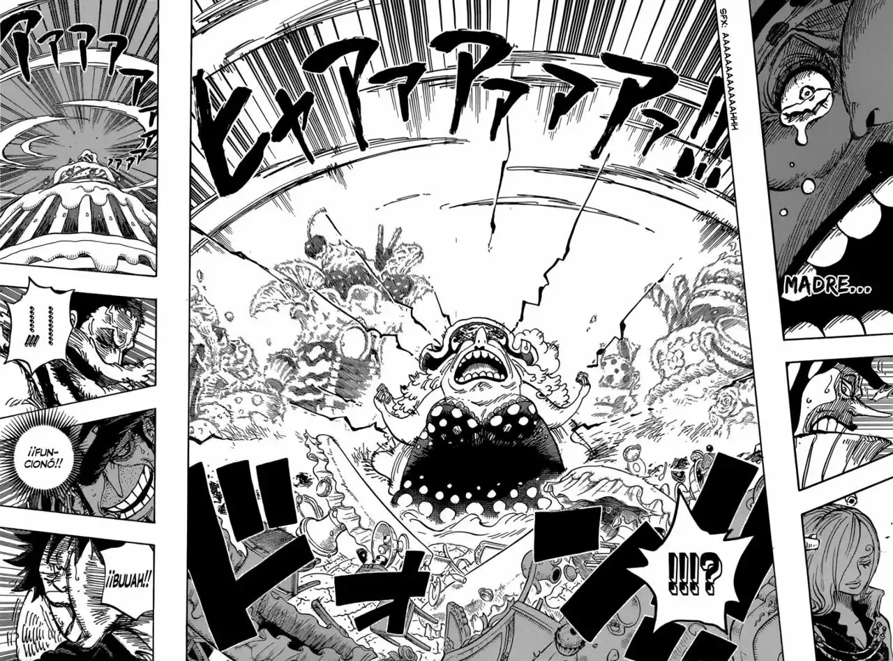 One Piece Capítulo 865 - Página 11 en español