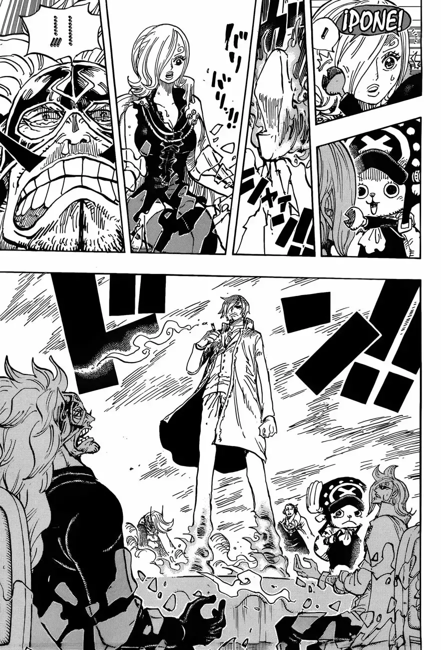 One Piece Capítulo 865 - Página 15 en español