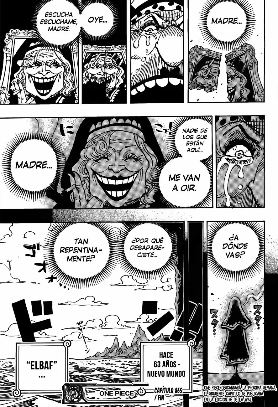 One Piece Capítulo 865 - Página 17 en español