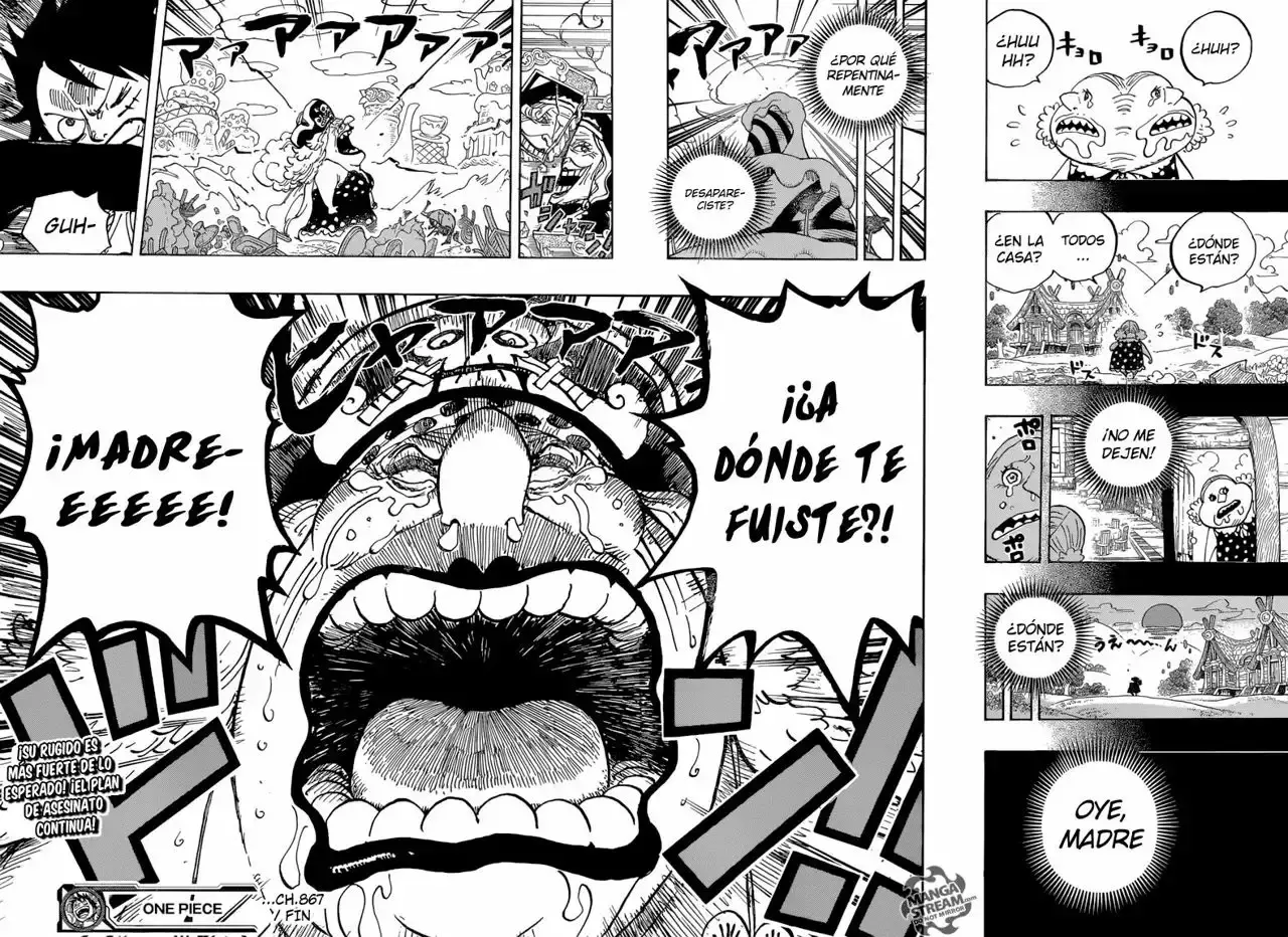 One Piece Capítulo 867 - Página 15 en español