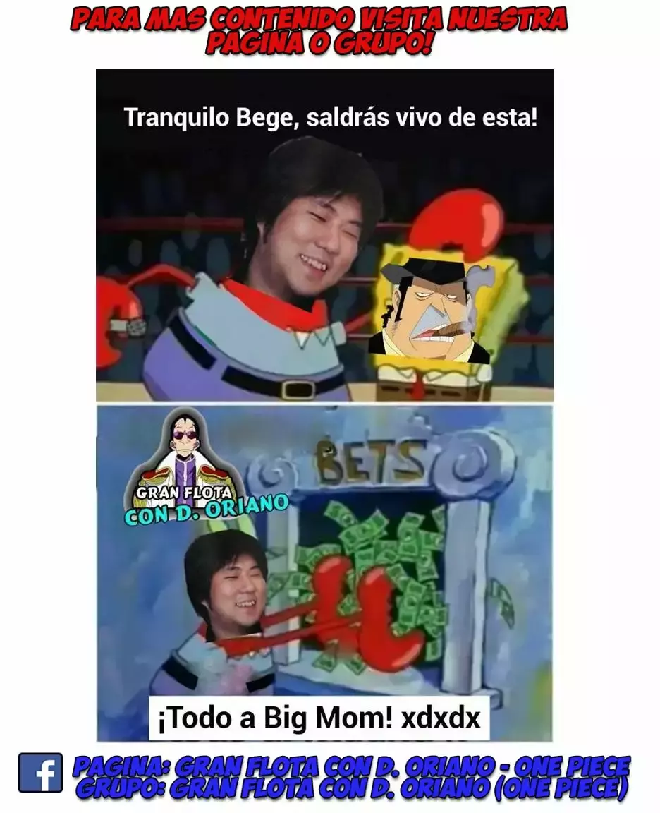 One Piece Capítulo 869 - Página 17 en español
