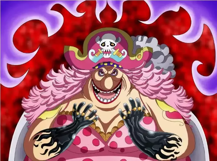 One Piece Capítulo 873 - Página 17 en español