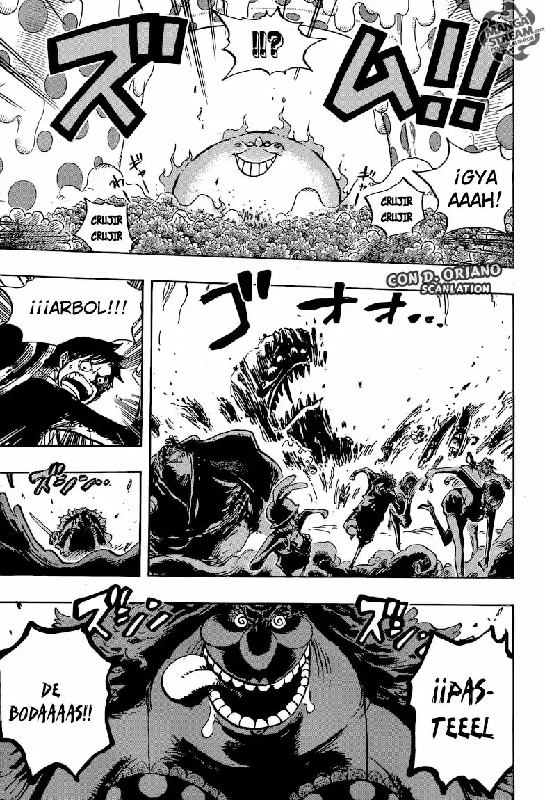 One Piece Capítulo 874 - Página 14 en español