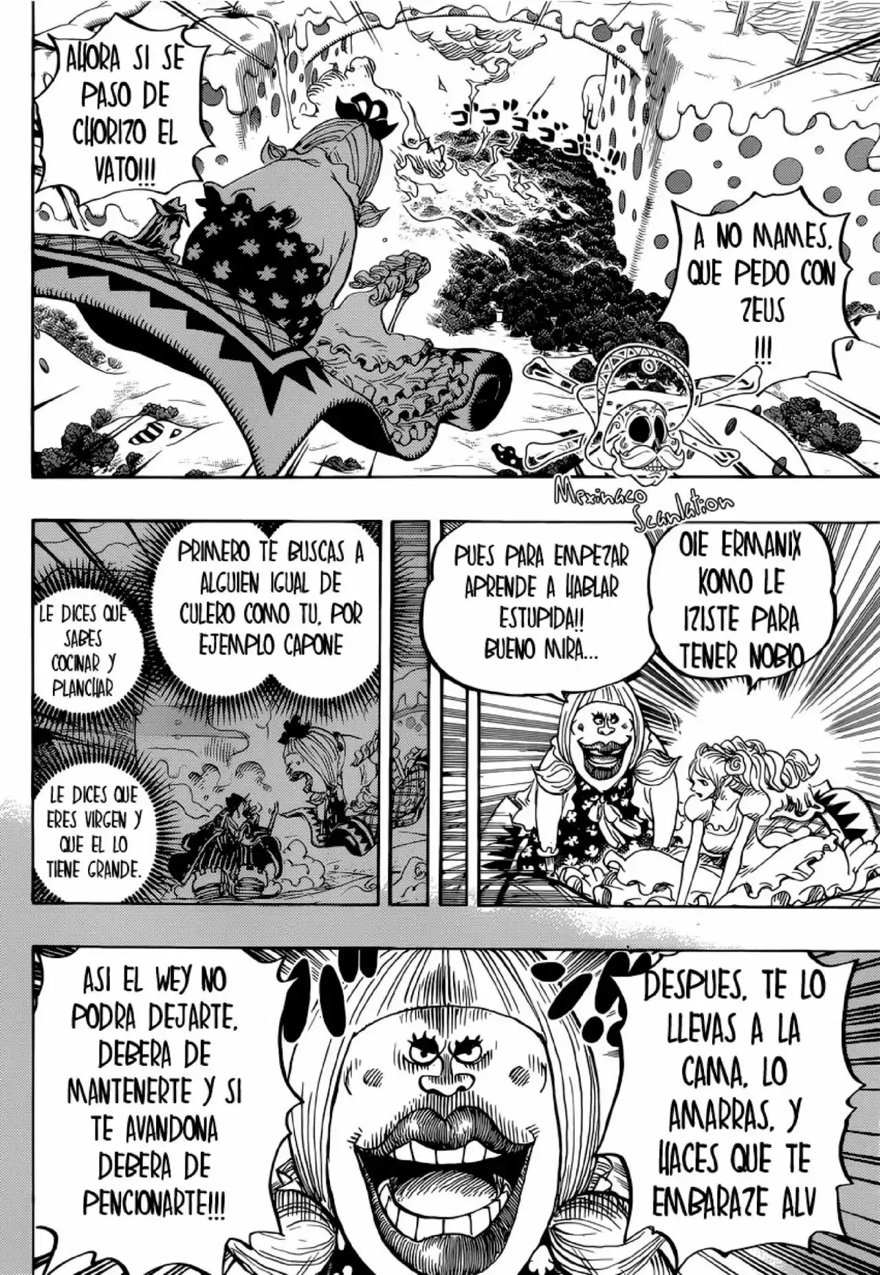 One Piece Capítulo 875 - Página 13 en español