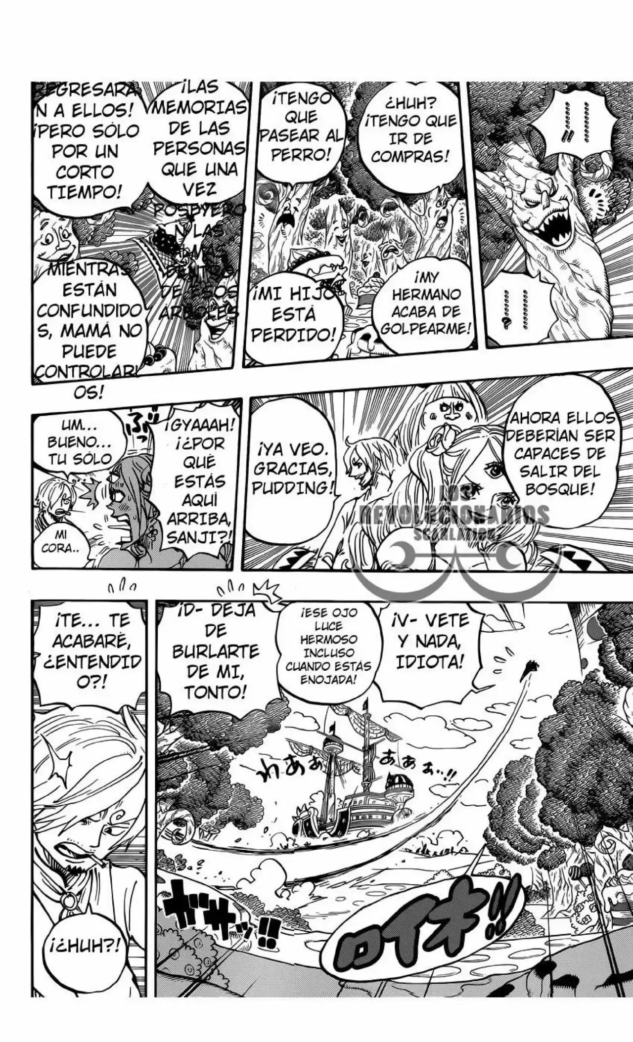 One Piece Capítulo 876 - Página 14 en español