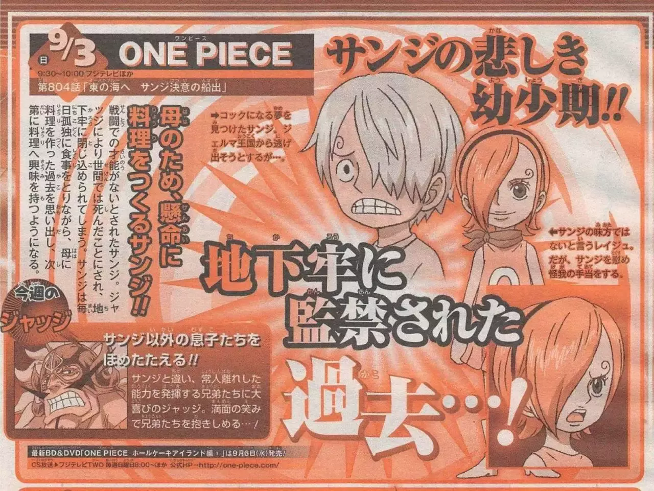 One Piece Capítulo 876 - Página 21 en español