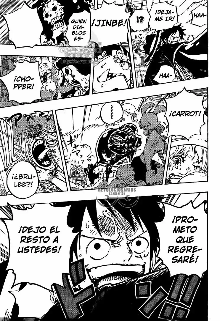 One Piece Capítulo 878 - Página 14 en español