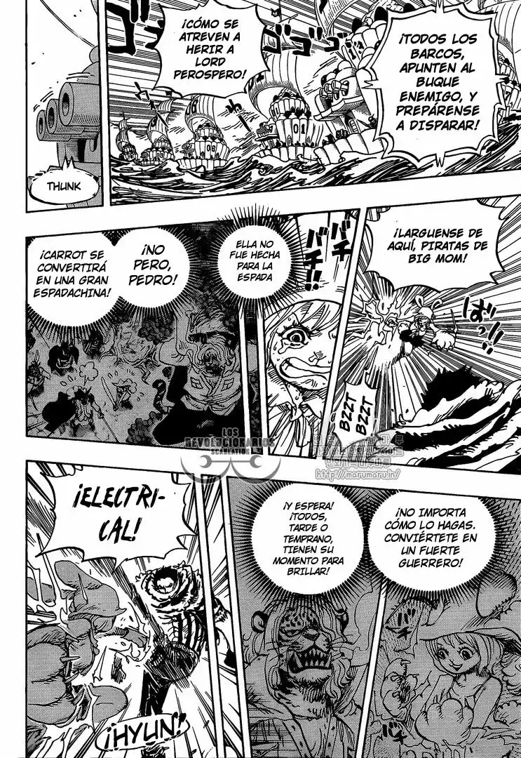 One Piece Capítulo 878 - Página 9 en español