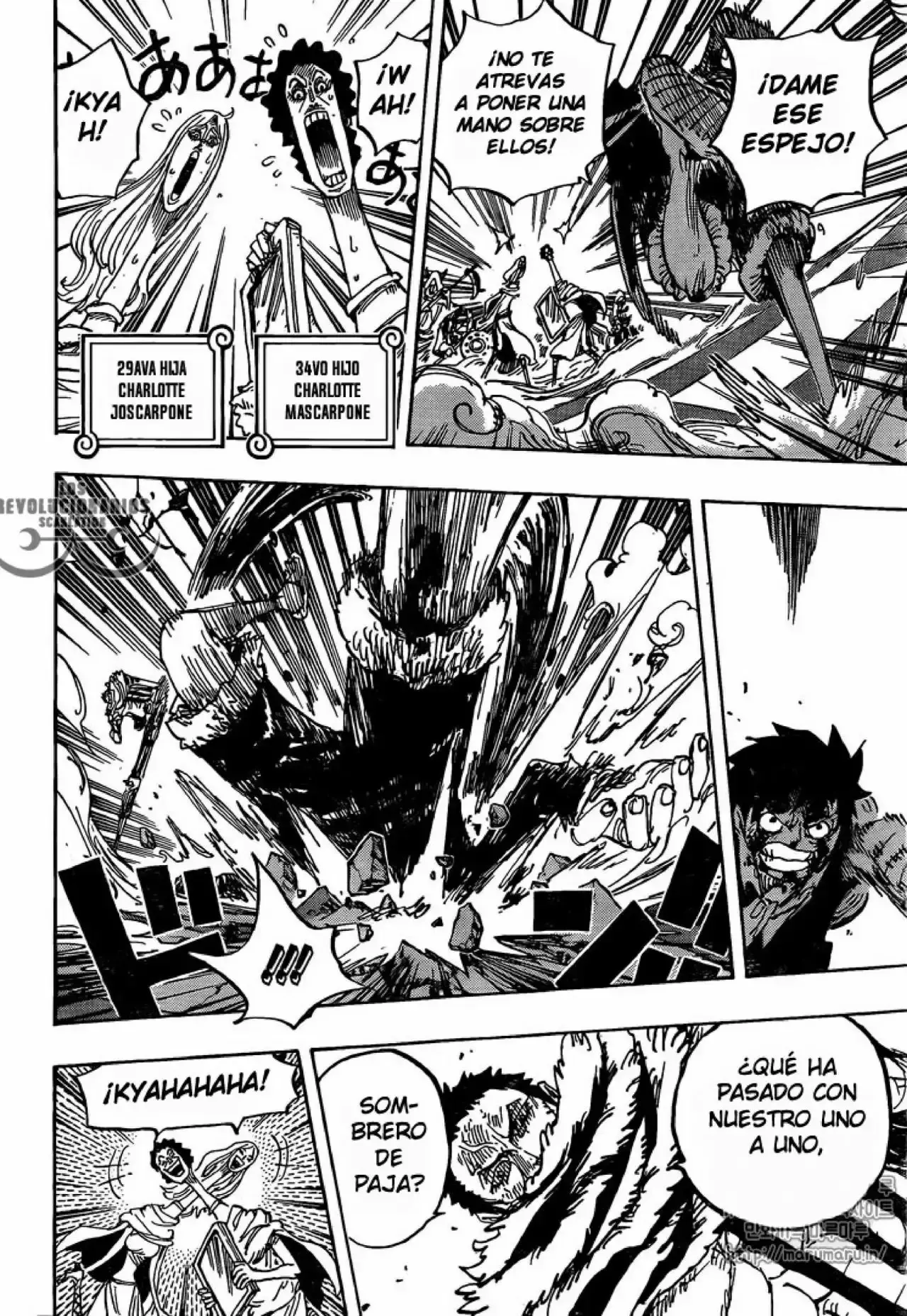 One Piece Capítulo 880 - Página 13 en español