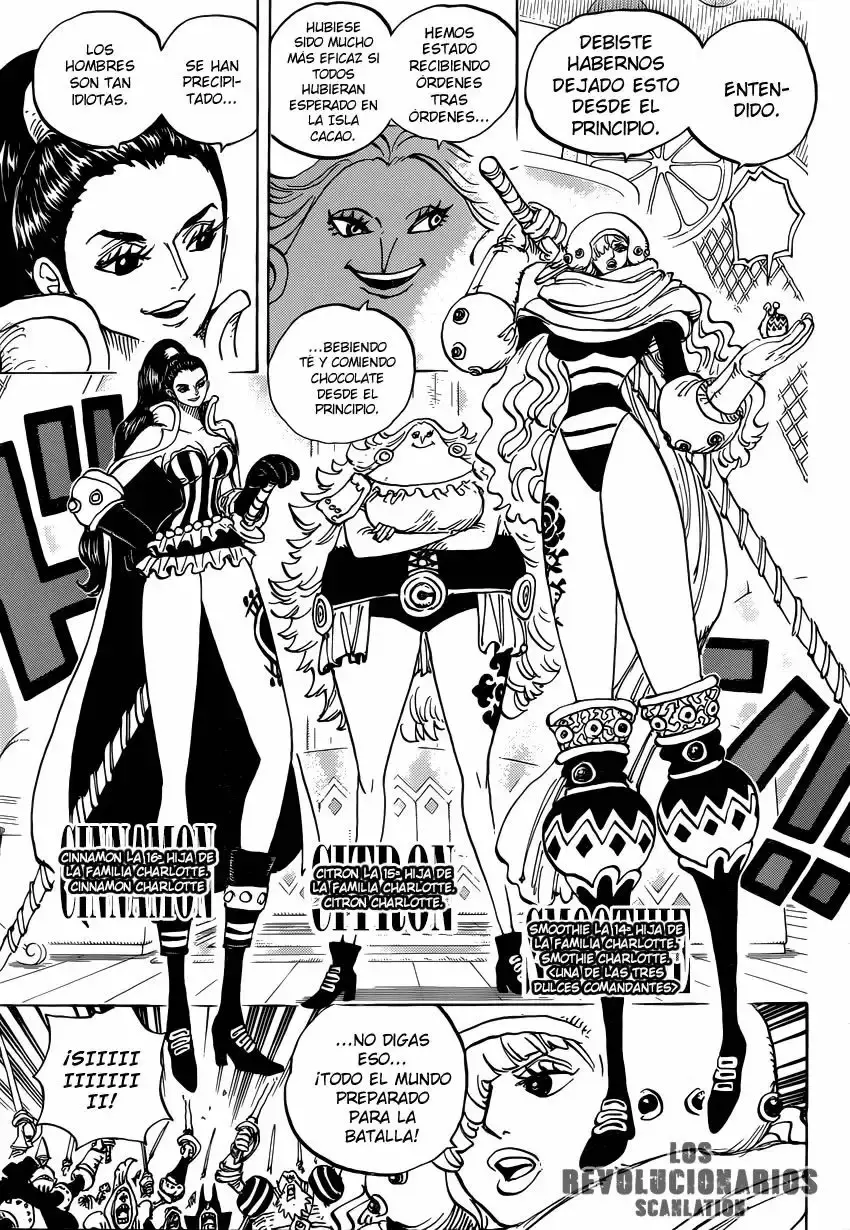 One Piece Capítulo 892 - Página 12 en español