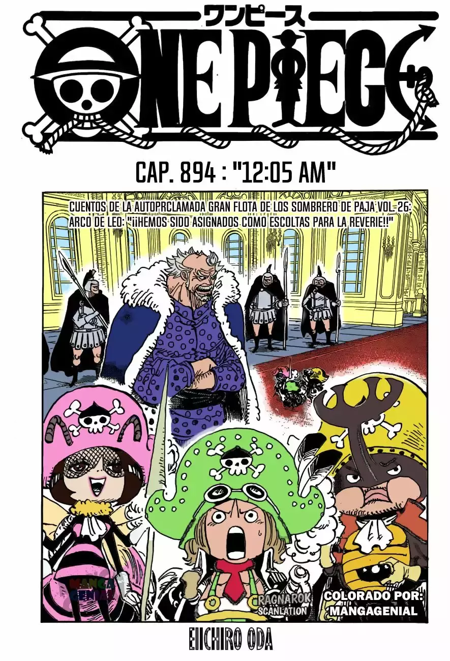 One Piece Capítulo 894 - Página 19 en español