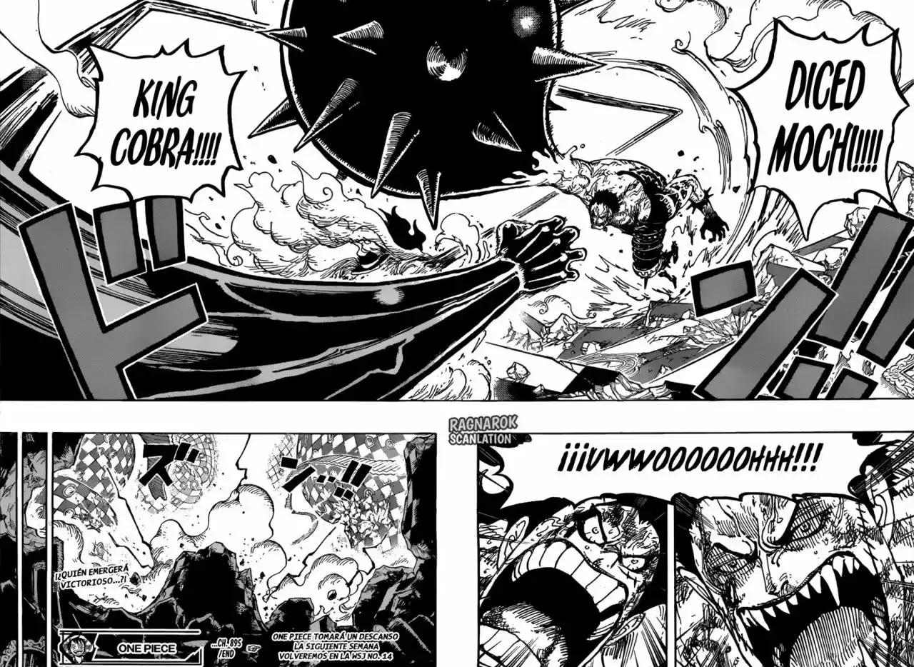 One Piece Capítulo 895 - Página 16 en español