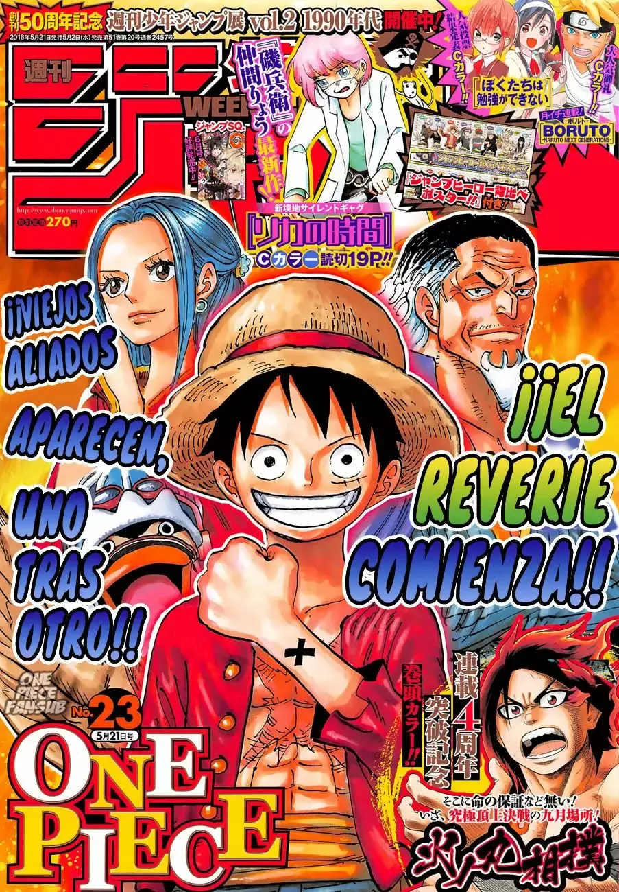 One Piece Capítulo 903 - Página 18 en español