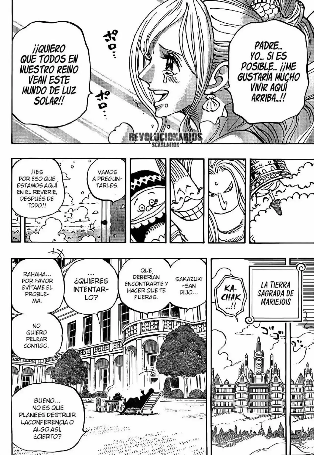 One Piece Capítulo 905 - Página 13 en español