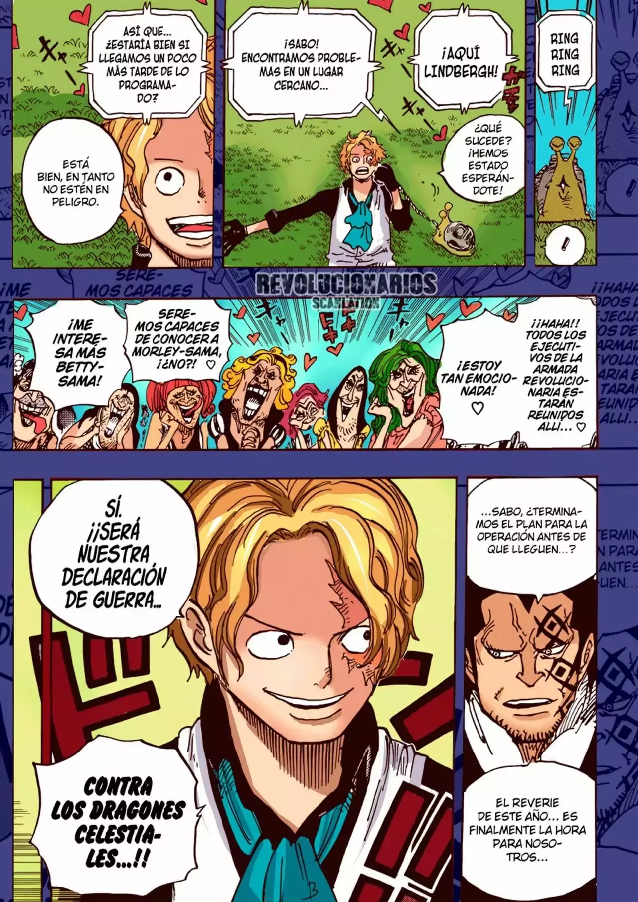 One Piece Capítulo 905 - Página 17 en español
