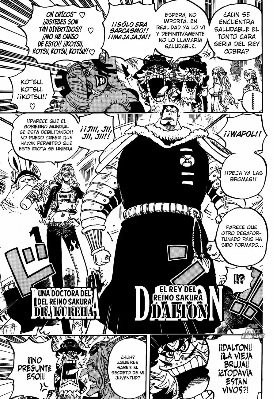 One Piece Capítulo 906 - Página 14 en español