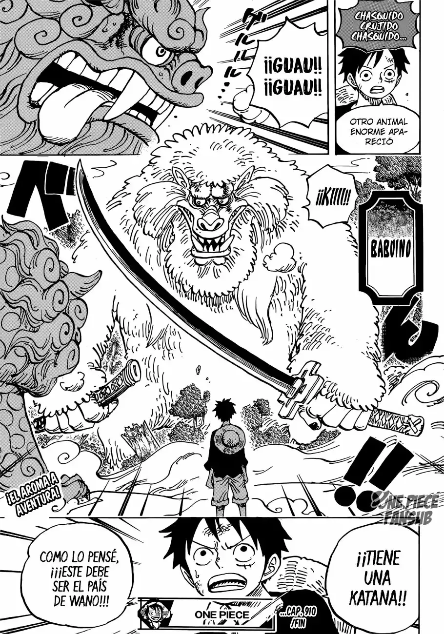 One Piece Capítulo 910 - Página 13 en español
