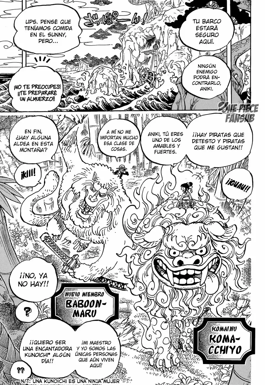 One Piece Capítulo 911 - Página 13 en español