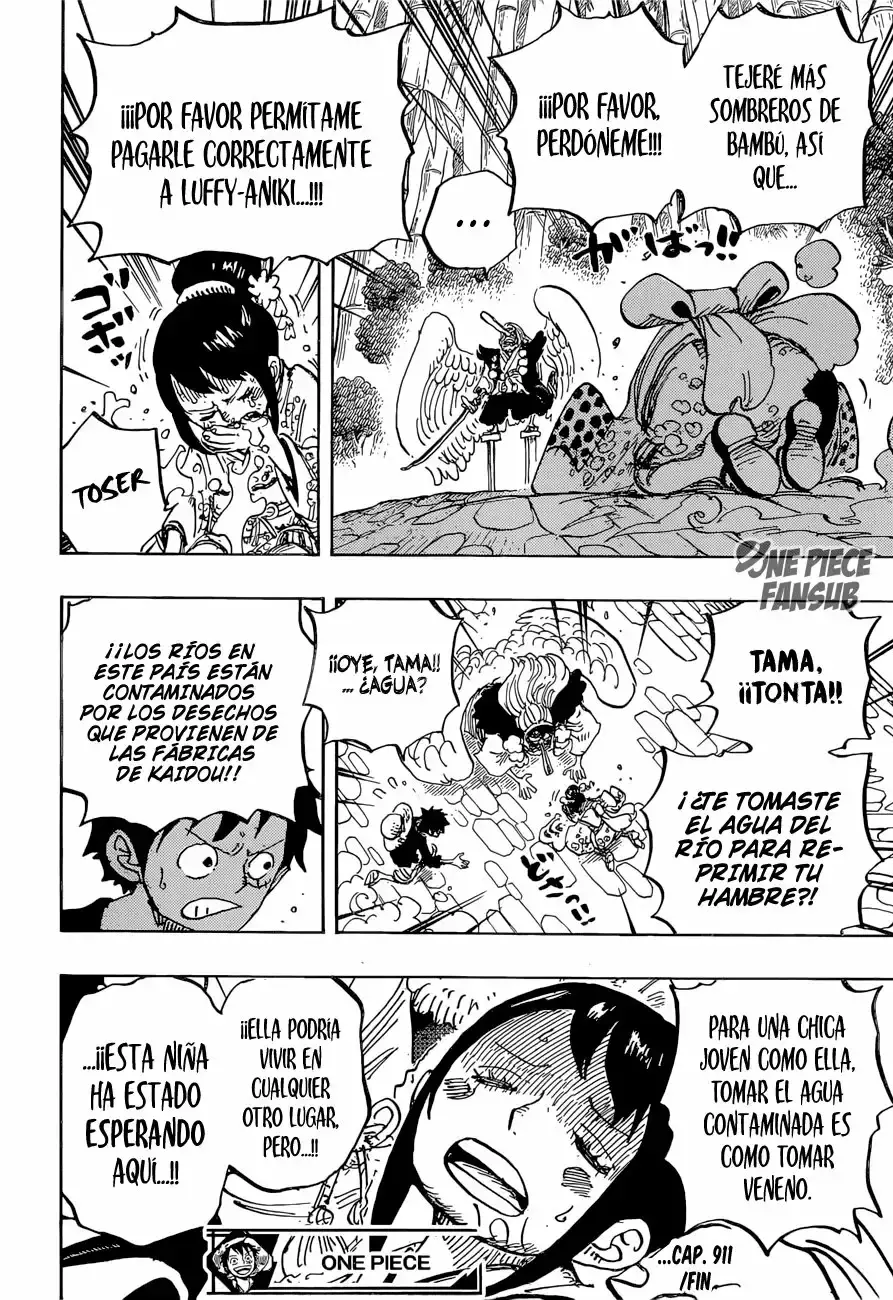 One Piece Capítulo 911 - Página 17 en español