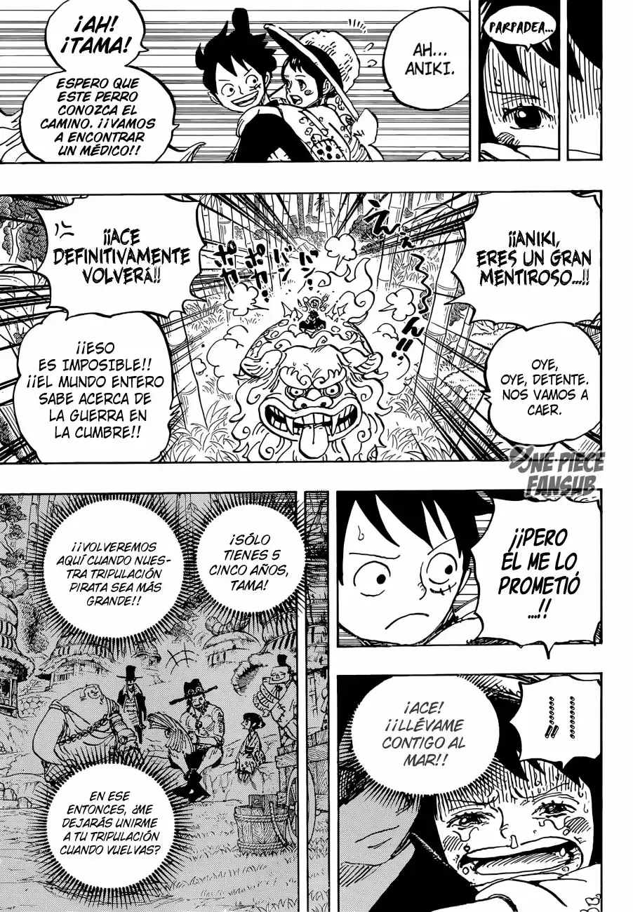 One Piece Capítulo 912 - Página 11 en español