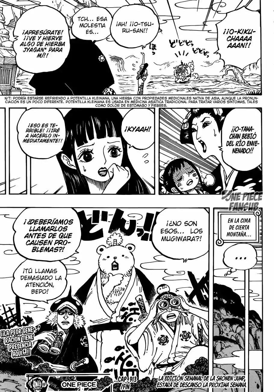 One Piece Capítulo 913 - Página 15 en español