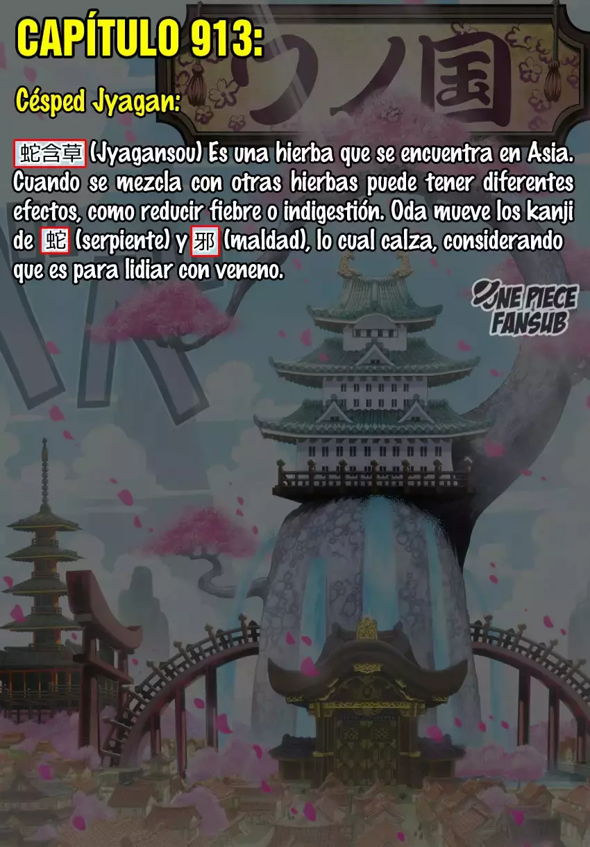 One Piece Capítulo 914 - Página 21 en español