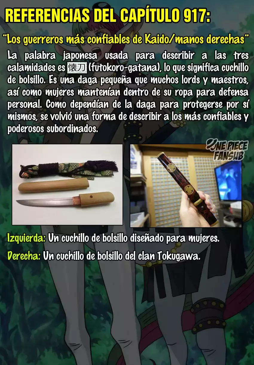 One Piece Capítulo 917 - Página 18 en español