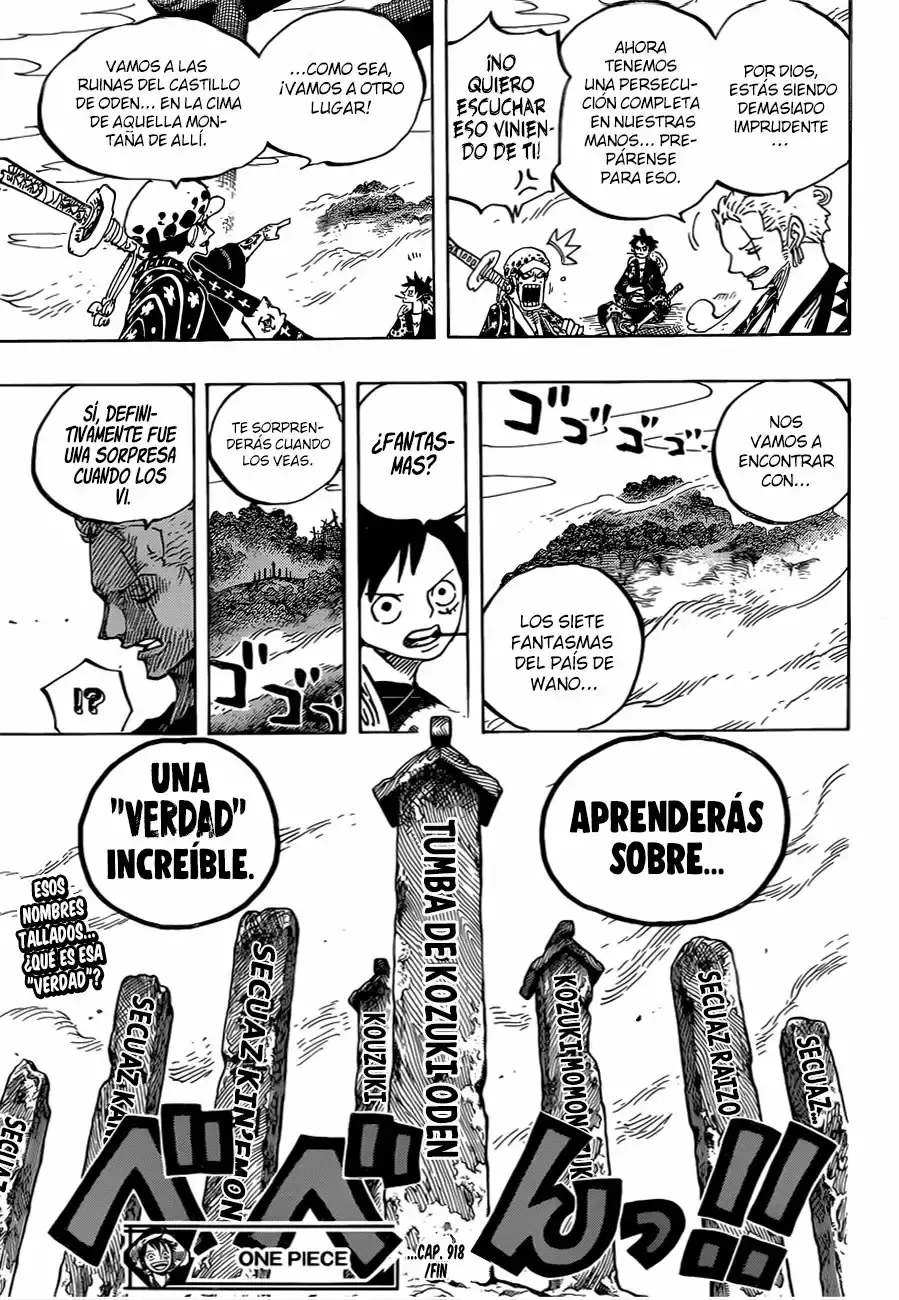 One Piece Capítulo 918 - Página 17 en español