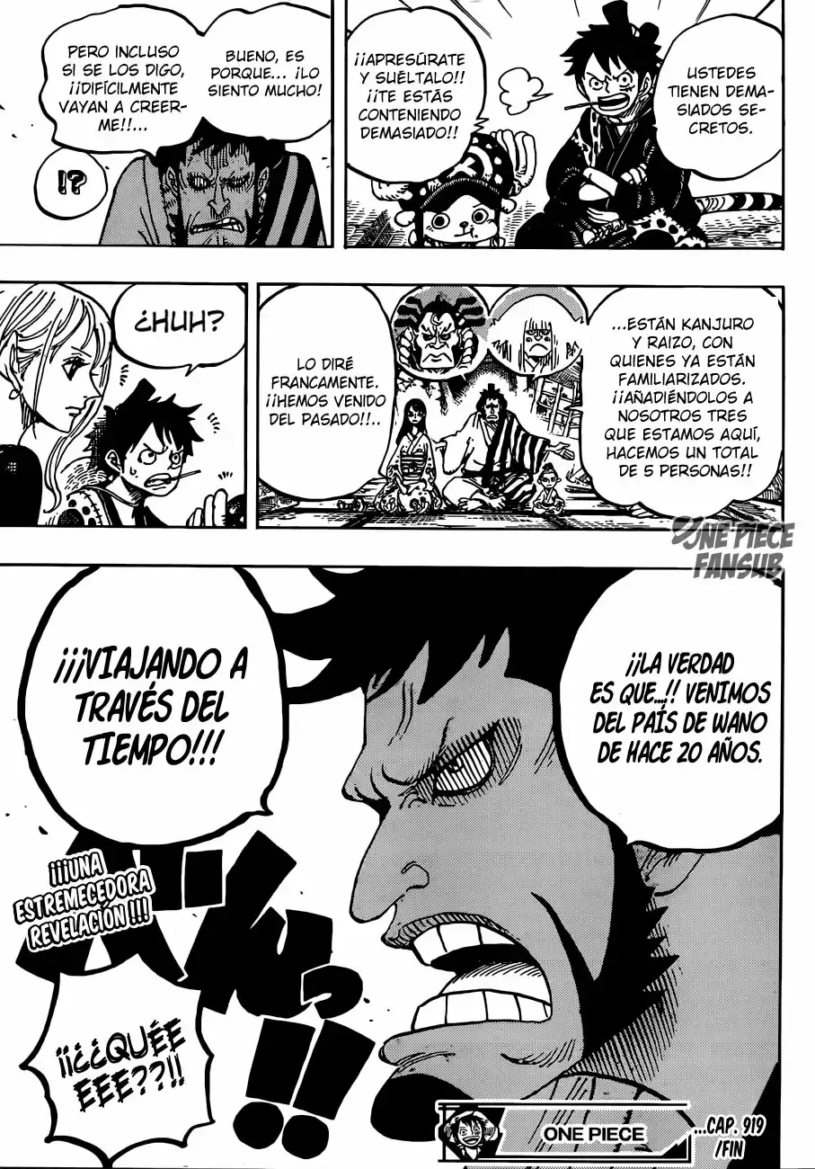 One Piece Capítulo 919 - Página 16 en español