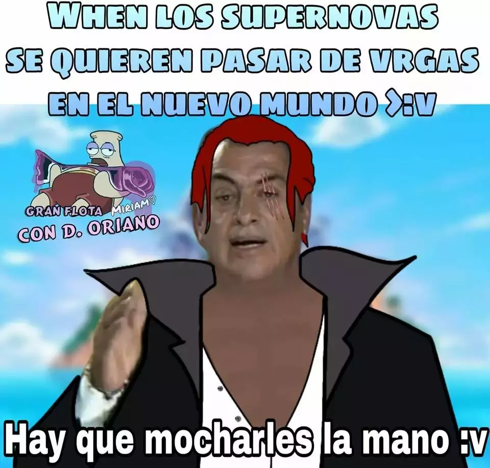 One Piece Capítulo 929 - Página 17 en español