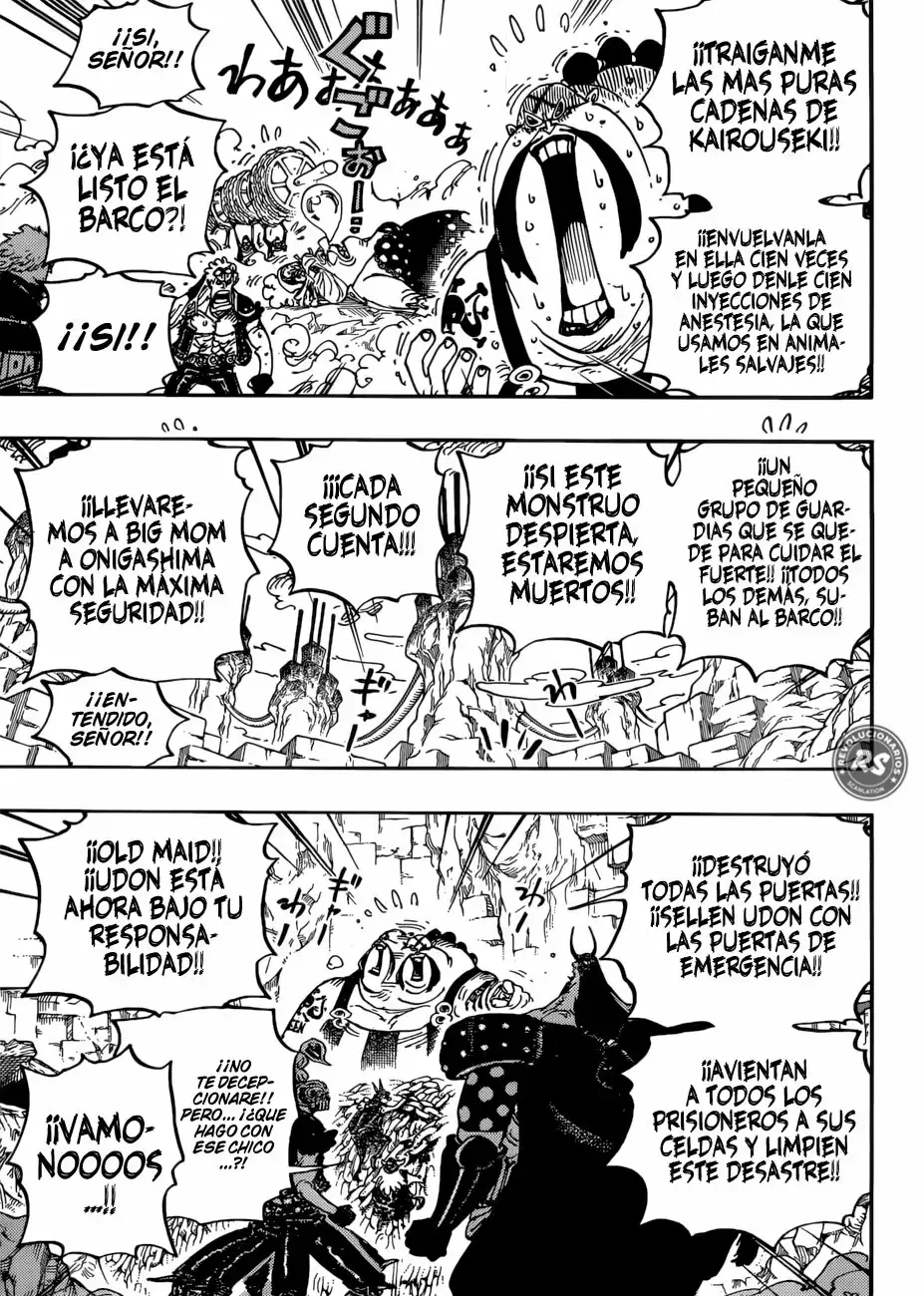 One Piece Capítulo 947 - Página 15 en español