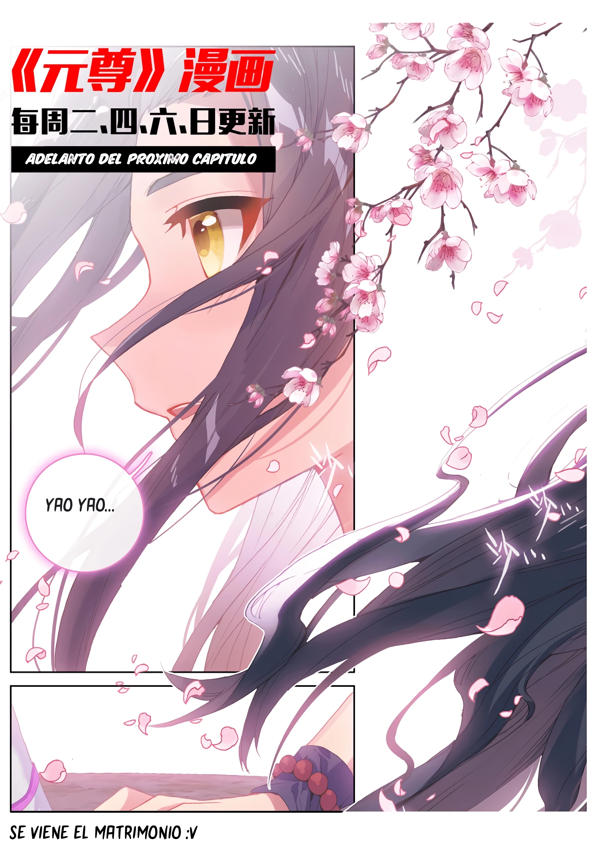 Yuan Zun Capítulo 599 - Página 11 en español
