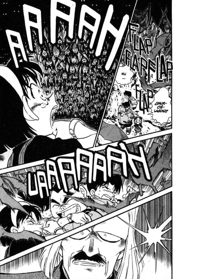 Detective Conan Capítulo 252 - Página 14 en español