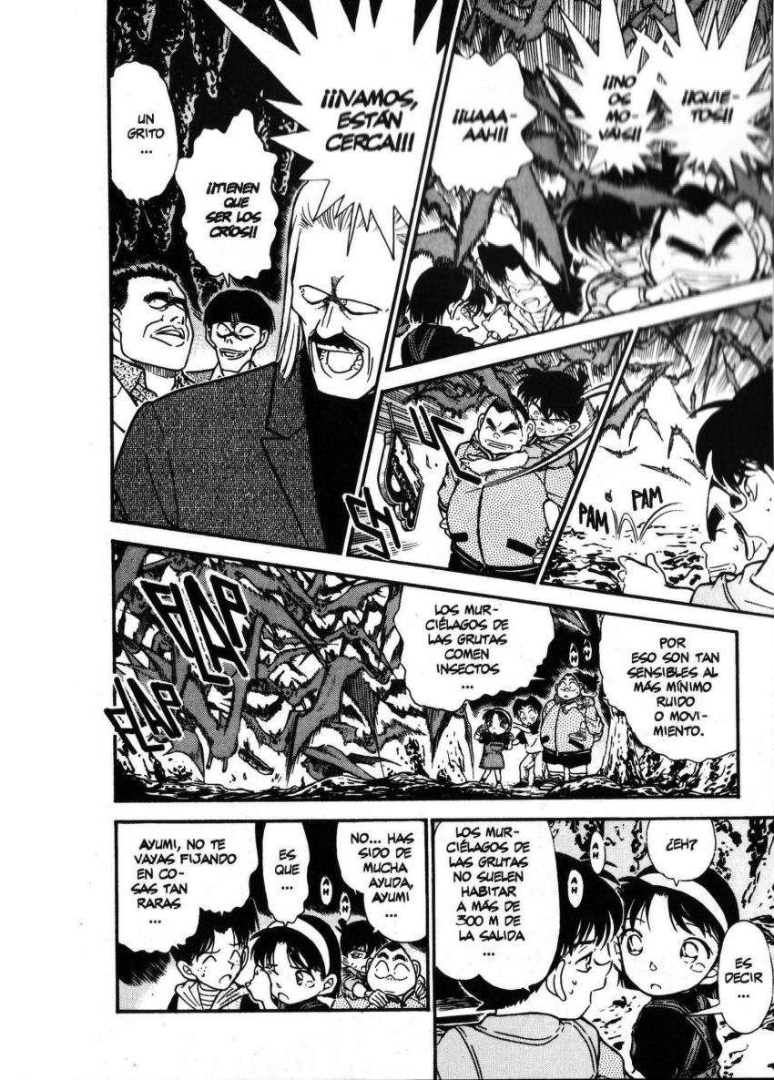 Detective Conan Capítulo 252 - Página 15 en español