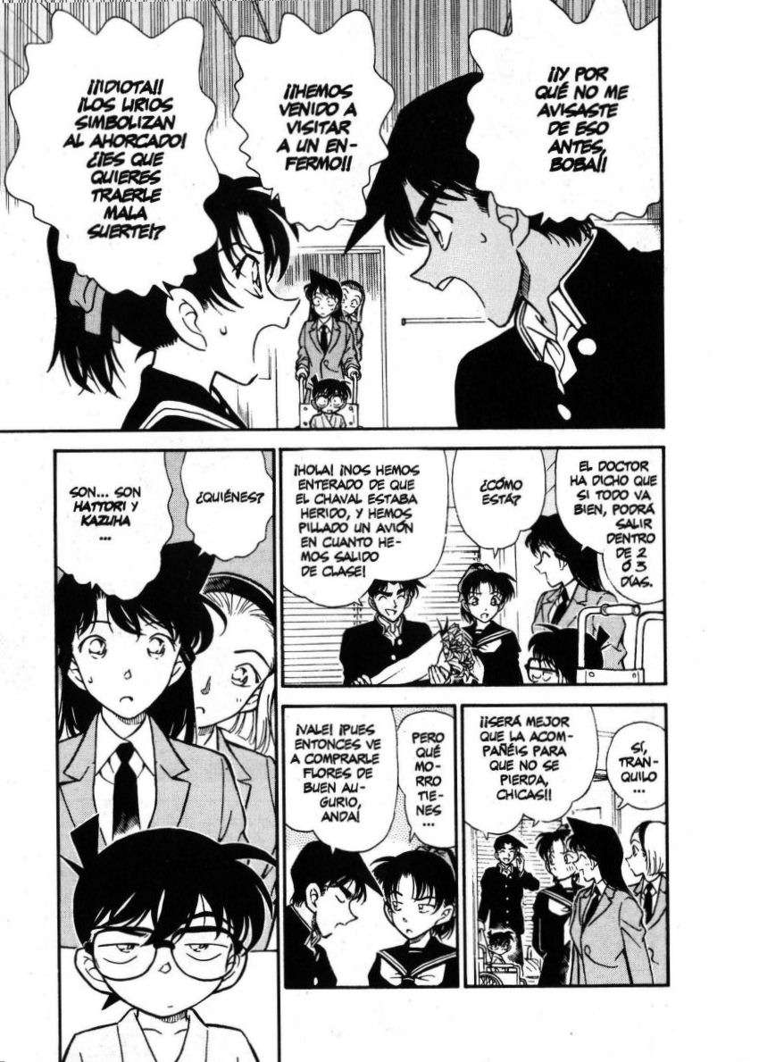 Detective Conan Capítulo 254 - Página 10 en español