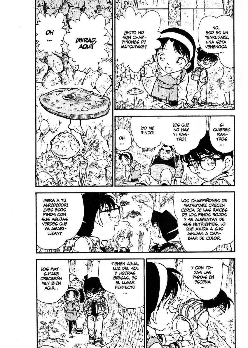 Detective Conan Capítulo 273 - Página 5 en español