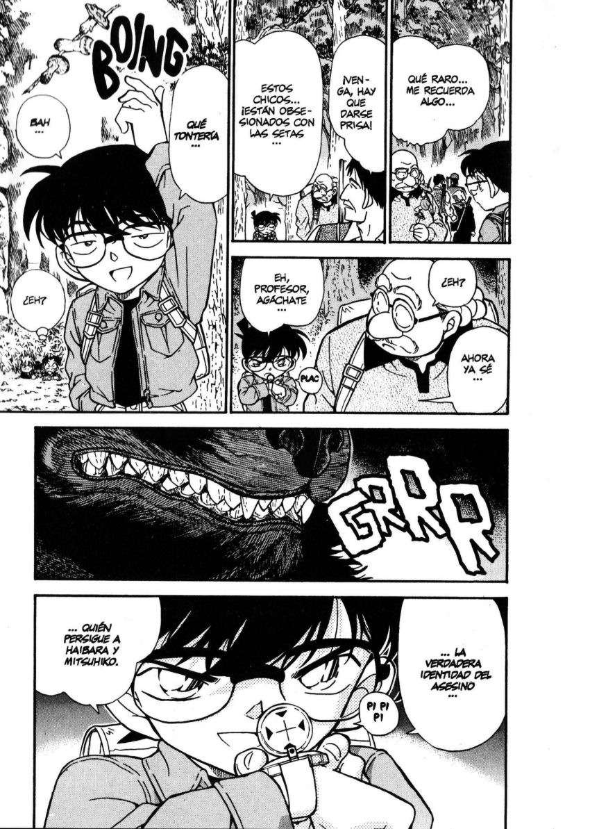 Detective Conan Capítulo 274 - Página 16 en español
