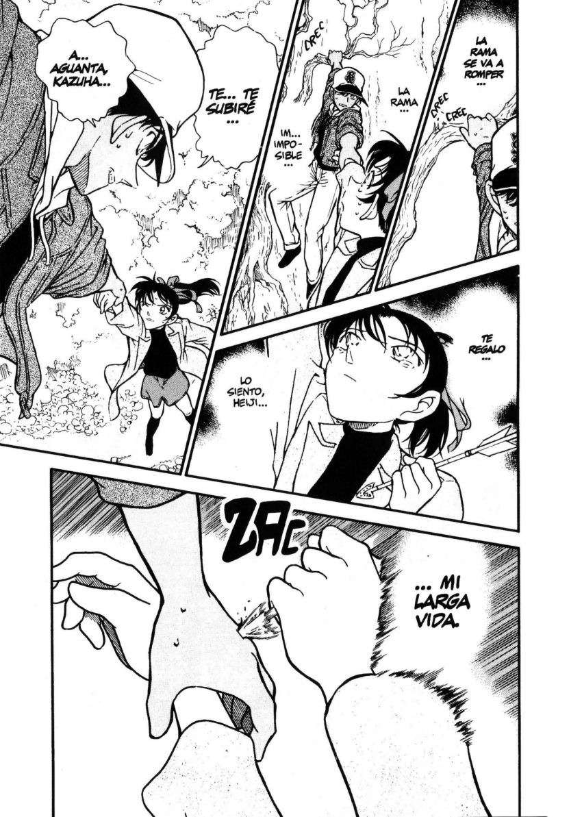 Detective Conan Capítulo 282 - Página 16 en español